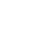 Lasting Skin Solutions Logo