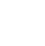 Lasting Skin Solutions Logo